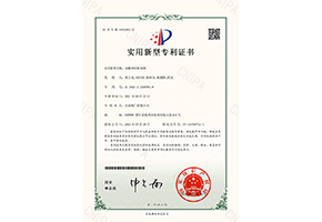 双螺母暗杆闸阀