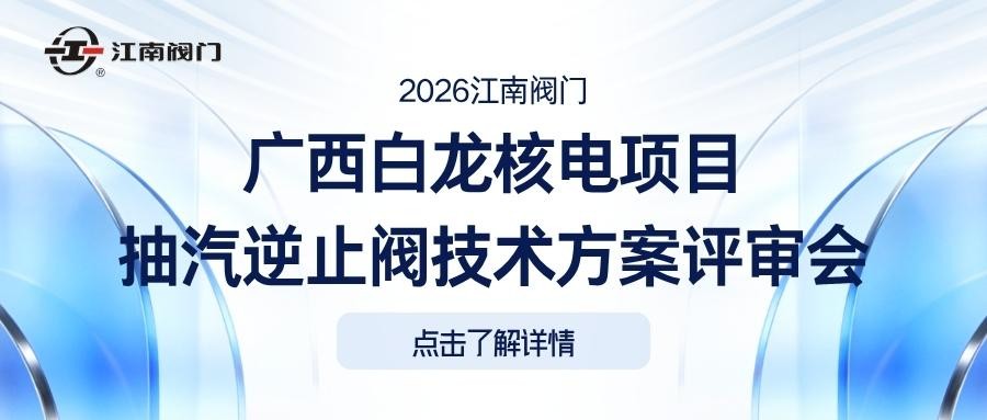 广西白龙核电项目抽汽逆止阀技术方案评审会在东升阀门圆满召开